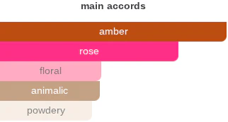 Amber Eclipse | Insp. By Ambre Nuit - Image 10