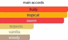 Mango Flash | Inspired By. Mango Skin - Image 9
