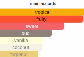 Mango & Oud | Inspired By. Mango Aoud - Image 9